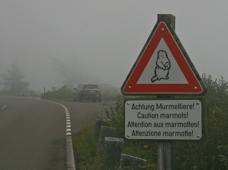 ���� Achtung Murmeltiere! - ���������� ������������� ������ (Grossglockner Hochalpenstrasse)