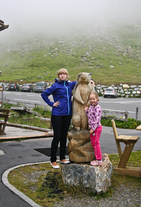 Murmeltiere - ���������� ������������� ������ (Grossglockner Hochalpenstrasse)
