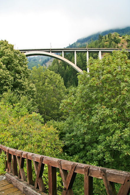 ��� �� ����� ����� - ����� ������������ (Burg Niederfalkenstein)
