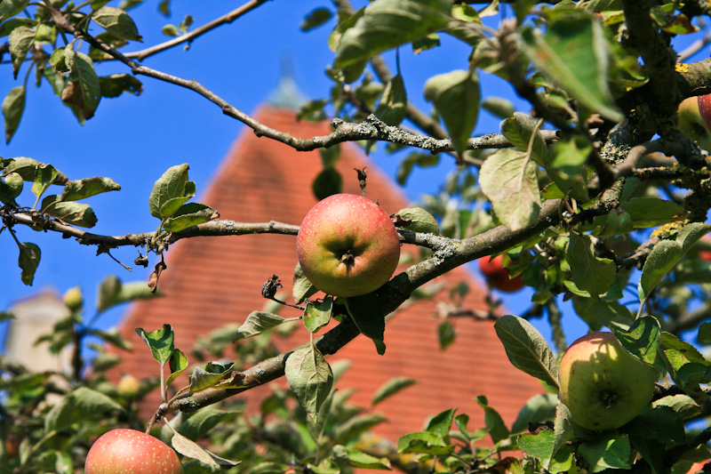 �������� Burg - ���������� (Burghausen)