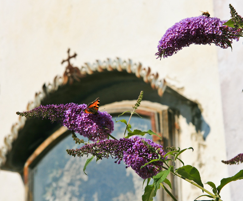 �������� Burg - ���������� (Burghausen)