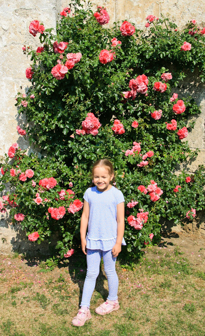 ������� ���� - ���������� (Burghausen)