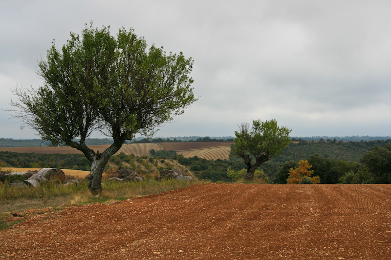 ���������� ���� ������ - ������� (Luberon)