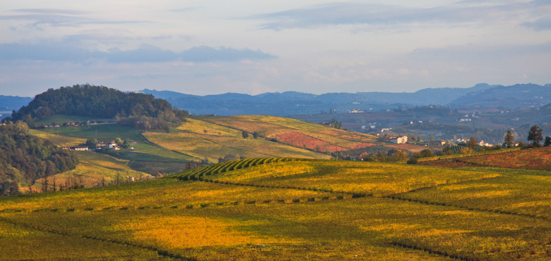 ������������ ������� ������ - ����� ����� (Langhe)