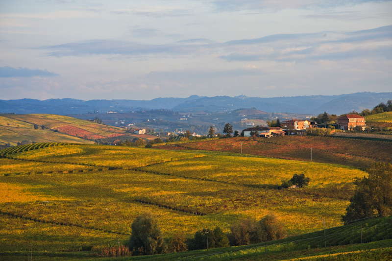 ������������ ������� ������ - ����� ����� (Langhe)