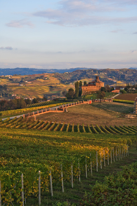 ����� �� ����� - ����� ����� (Langhe)