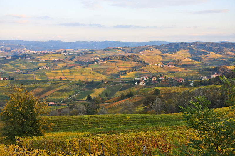 ������� ��������� - ����� ����� (Langhe)