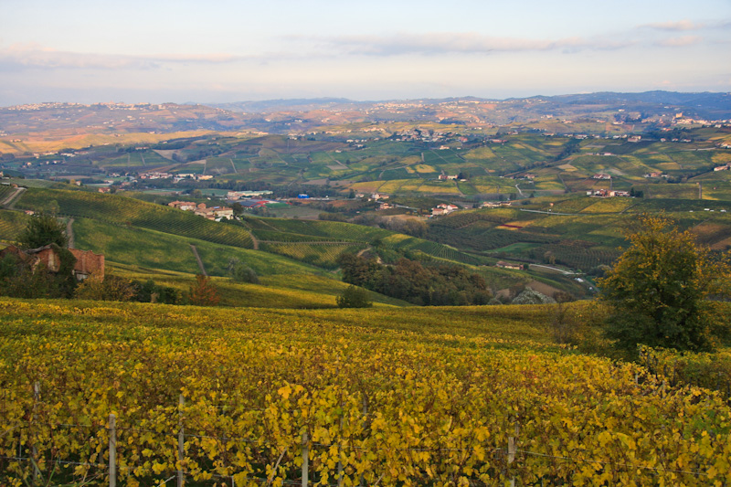 �������� ������������� - ����� ����� (Langhe)