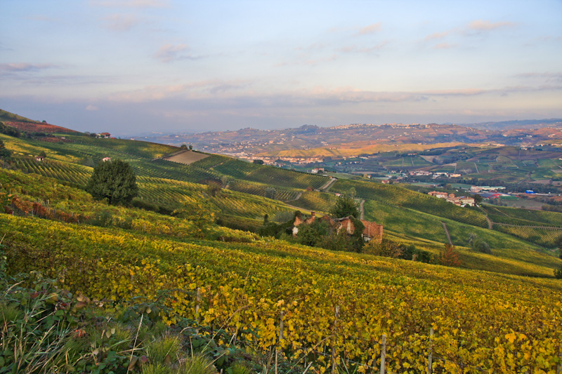 ������������ �� ������ ��������� - ����� ����� (Langhe)