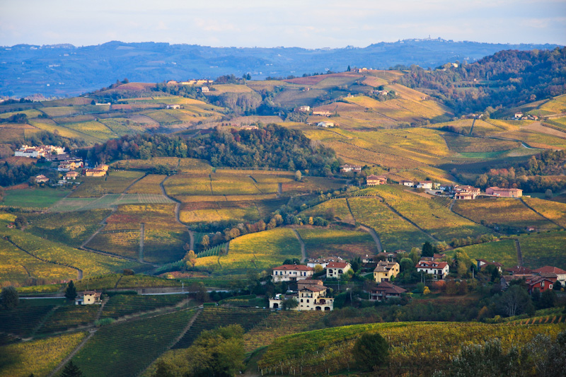 �����! - ����� ����� (Langhe)