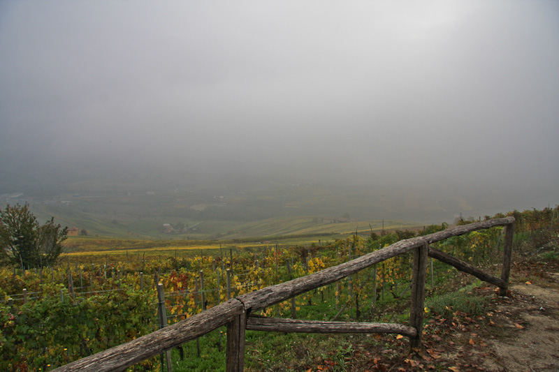 ������������ � ������ - ����� ����� (Langhe)