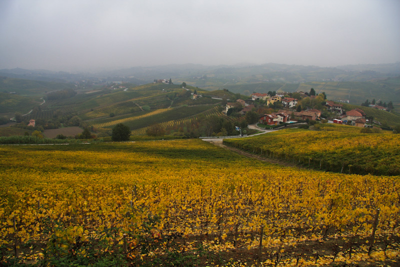 �� ������ � ������ - ����� ����� (Langhe)