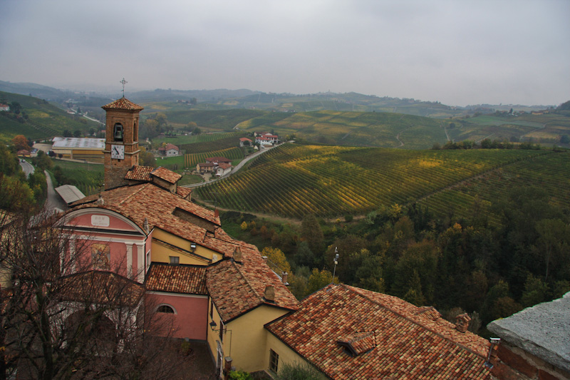 ���� � ����� ����� - ������ (Barolo)