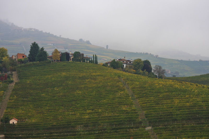 ���� � ����� ����� - ������ (Barolo)