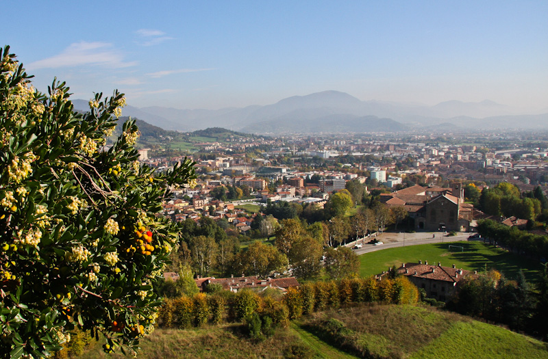 ���� �� ���� ���� - ������� (Bergamo)