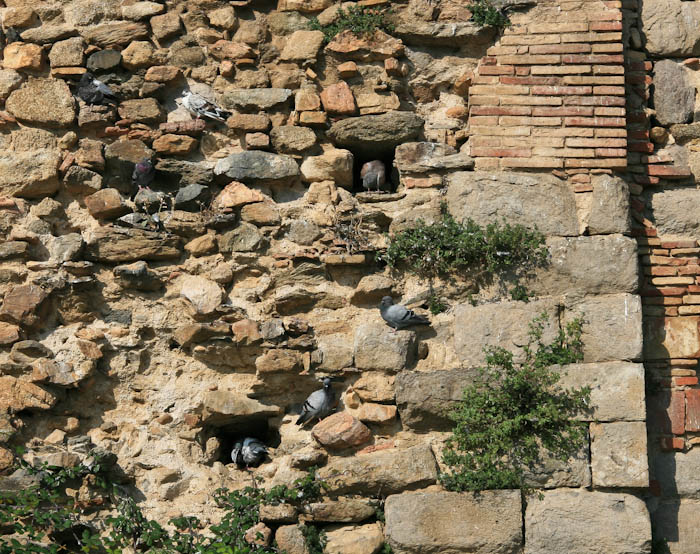 ��������-�'�������� (Castello d'Empuries)