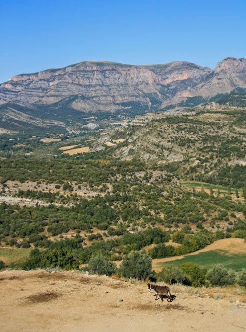 ���� �� ������� (Roda de Isabena)