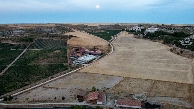 �������-��-����� (Curiel de Duero)