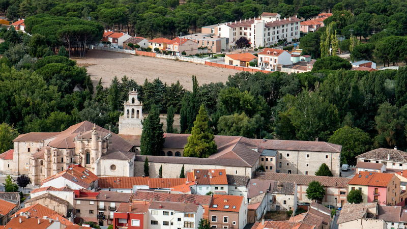 ����� ���������� (Castillo de Penafiel)