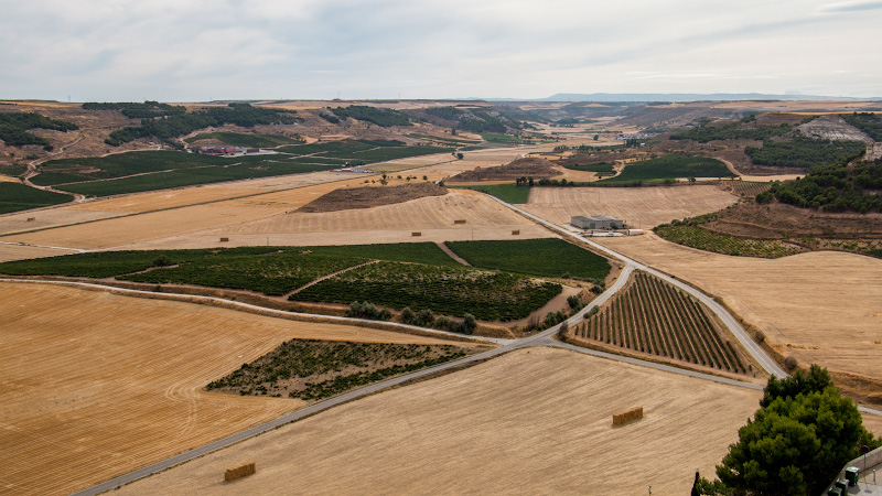 ����� ���������� (Castillo de Penafiel)