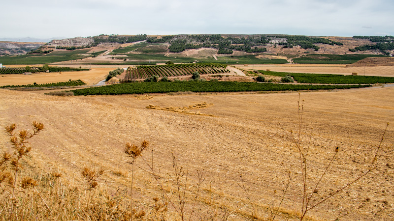 ����� ���������� (Castillo de Penafiel)