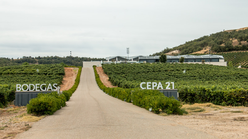 Bodegas Cepa 21 - Bodegas Cepa 21
