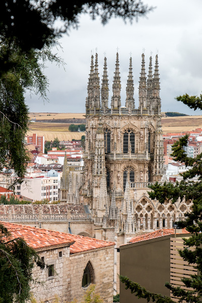 Catedral de Burgos - ������ (Burgos)
