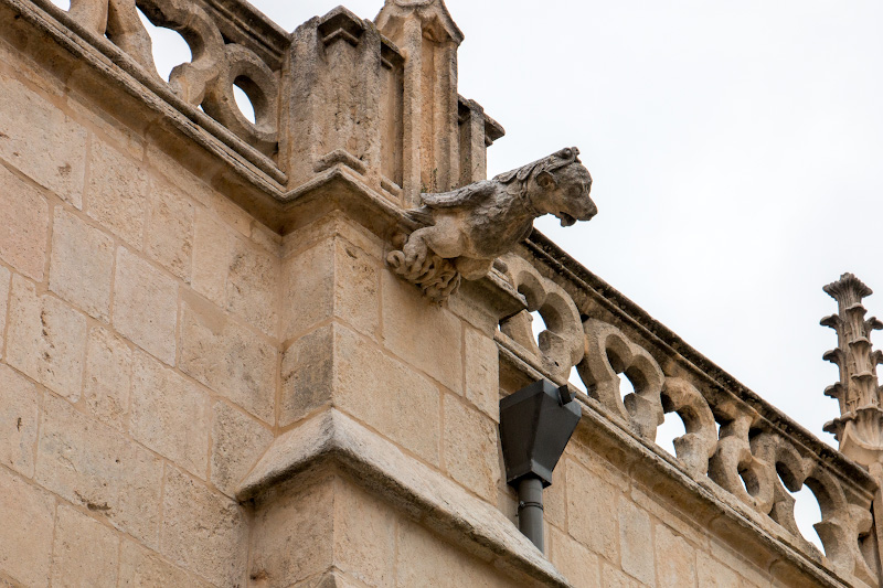 ������ (Burgos)