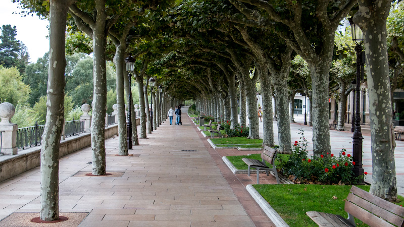������ (Burgos)